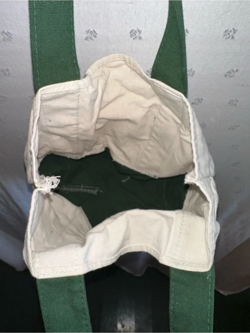 Trader Joe's Green and Cream Canvas Tote